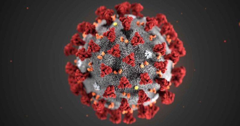 coronavirus