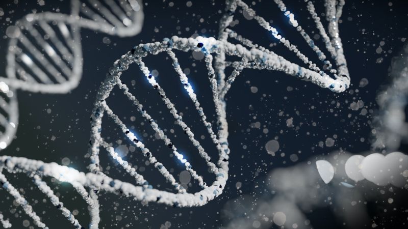 teste paternitate adn si rudenie