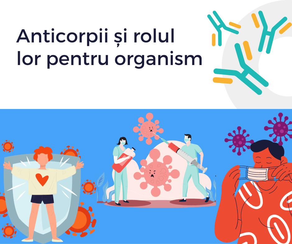 ce sunt anticorpii si care este rolul lor pentru organism